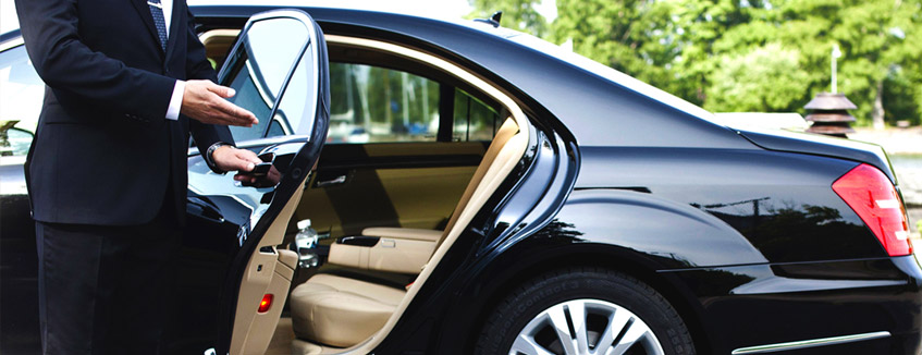 Profosyonel Vale Parking